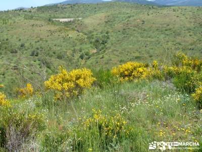 Carcavas de Alpedrete de la Sierra y Meandros del Lozoya;salir por madrid;senderismo sierra norte ma